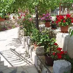 Orbanic Apartment
